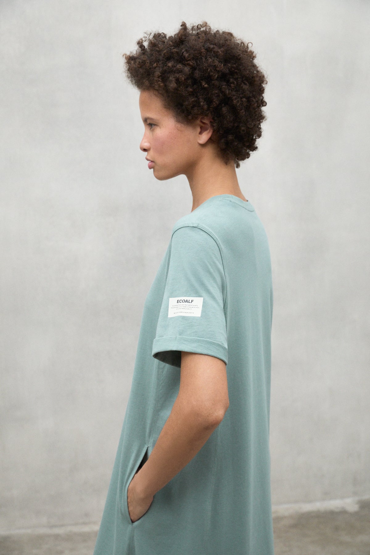 ARGENTO GREEN DRESS