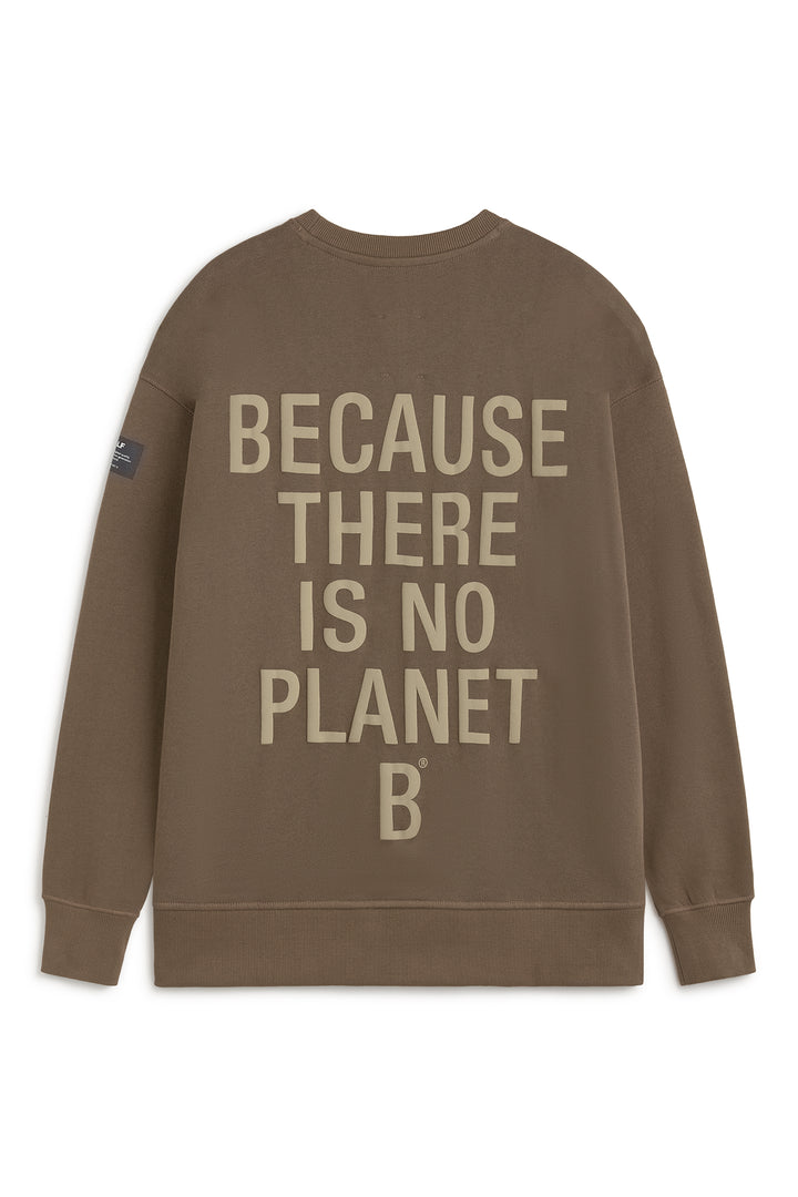 BROWN STORM HOODIE