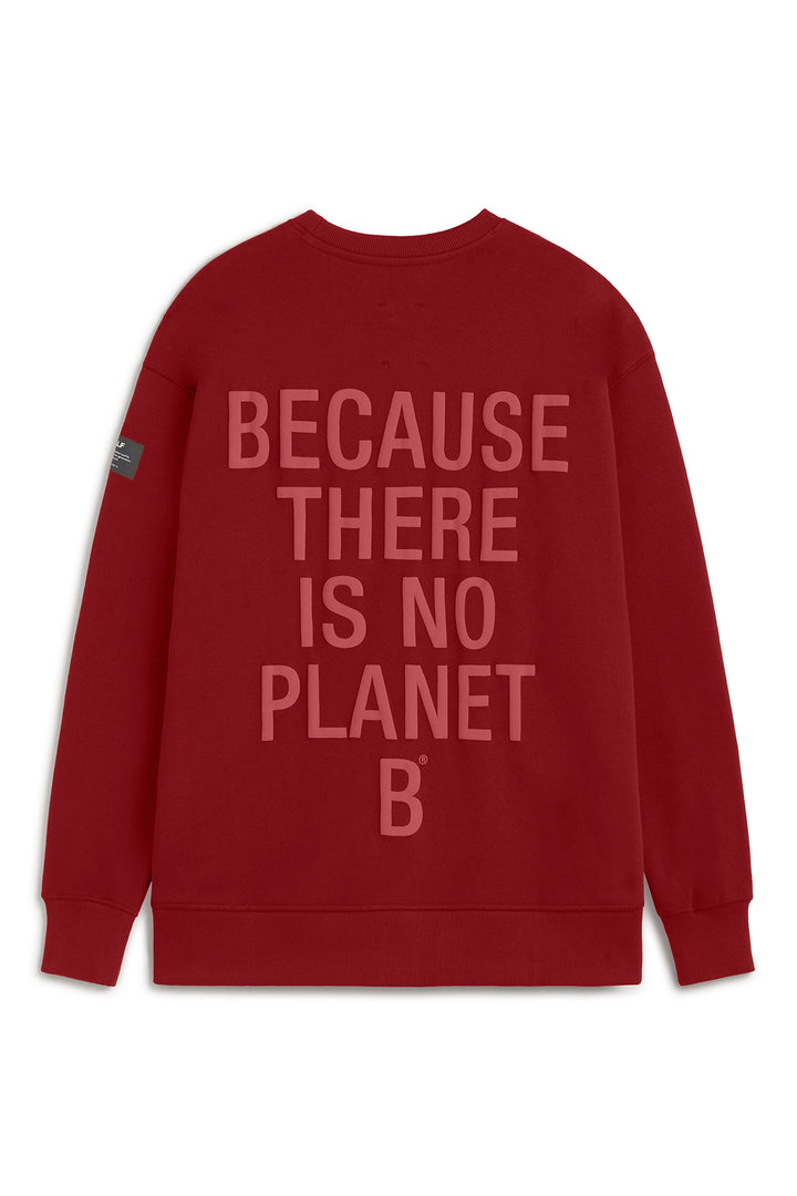 SWEATSHIRT STORM ROT
