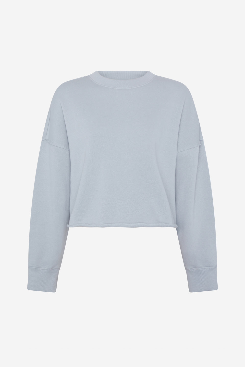 SWEATSHIRT DELAN GRAUE 