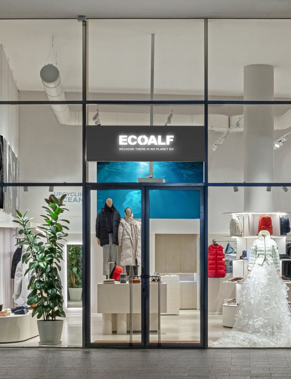Una tienda Ecoalf con fachada de vidrio y maniquíes con abrigos y accesorios, un rótulo luminoso "ECOALF" y un gran árbol ornamental.
